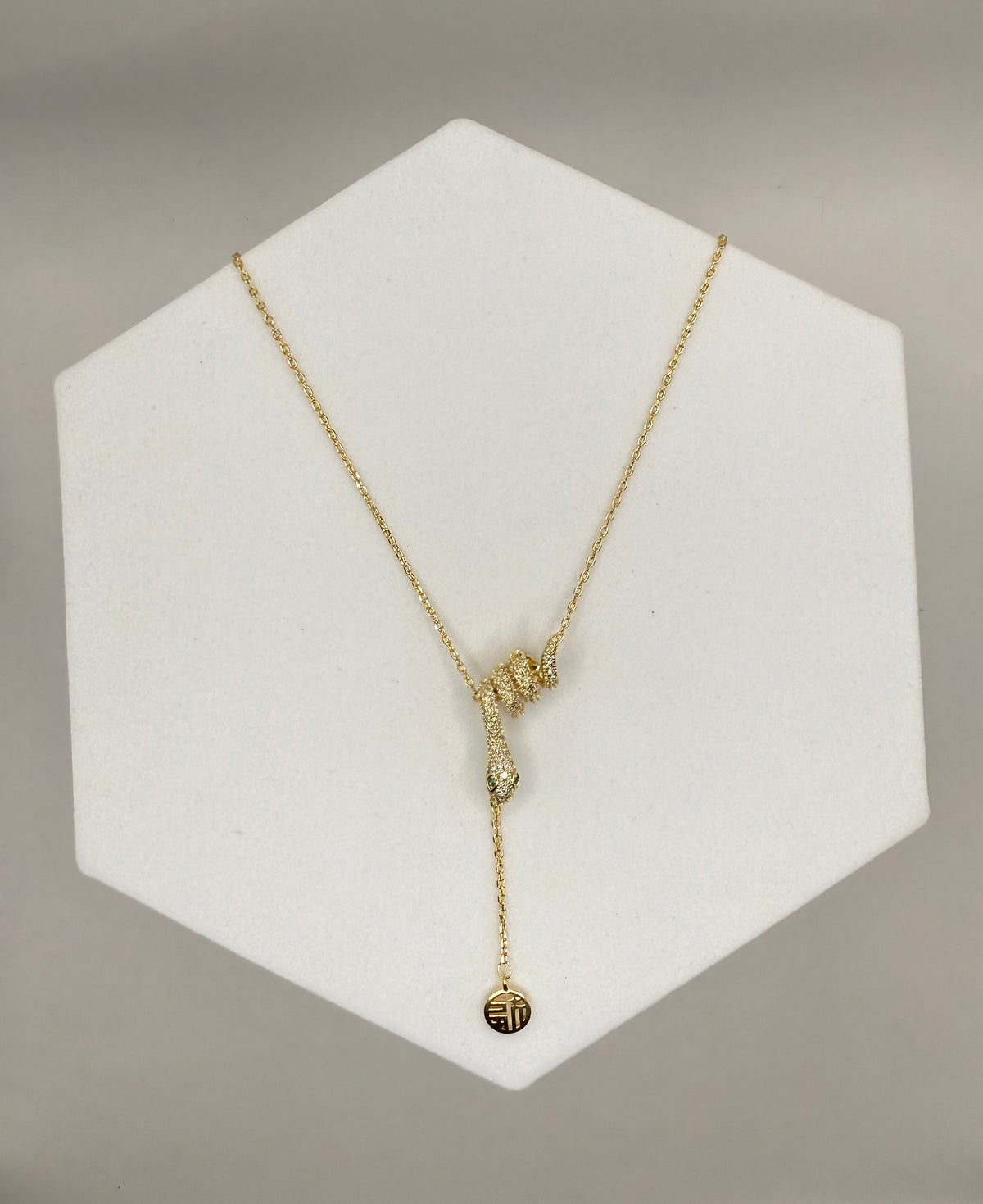 Snake Charm Necklace