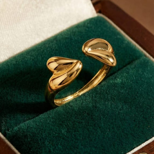 Twin Flames Ring