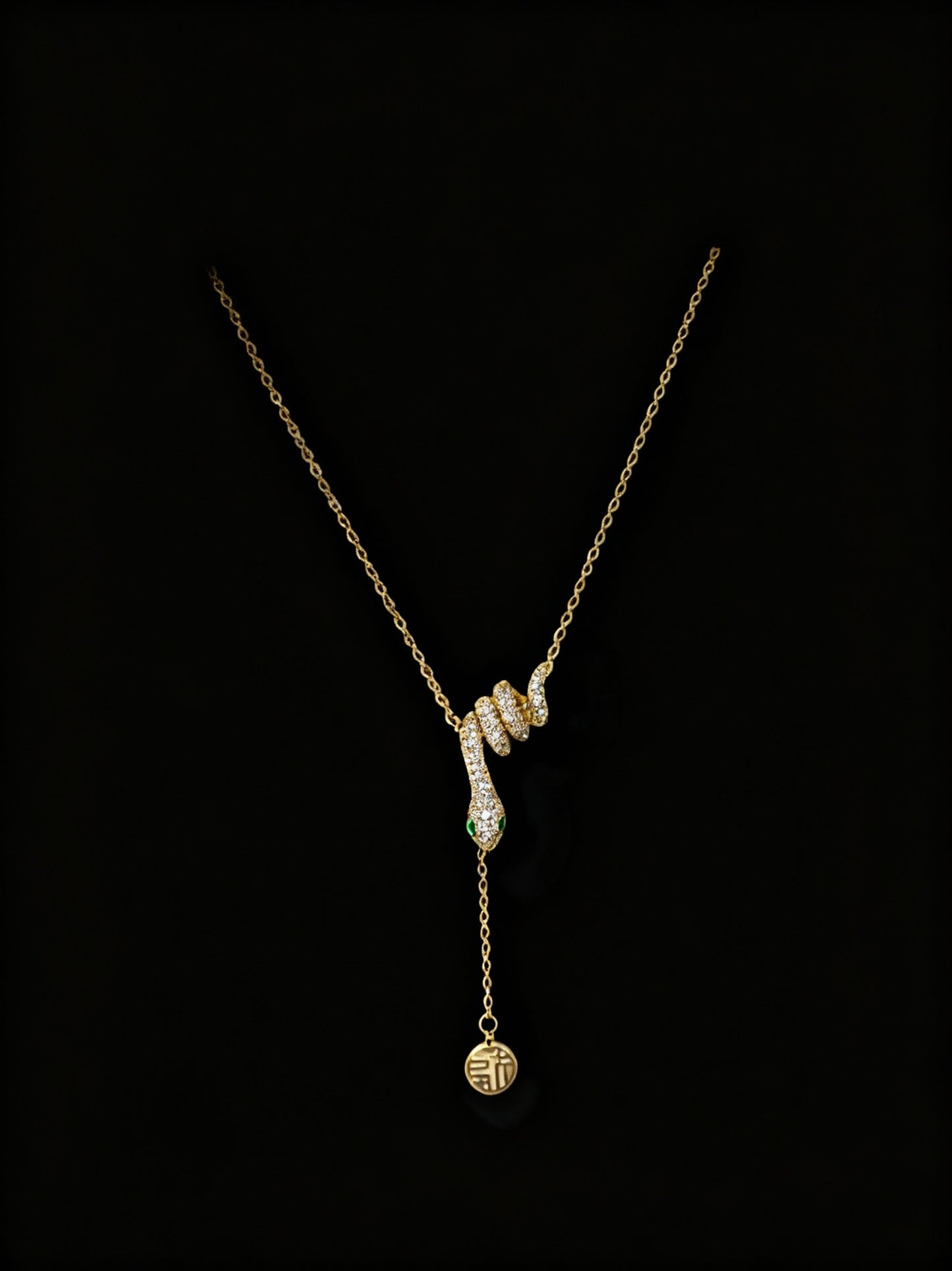 Snake Charm Necklace