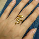 Sun Basking Snake Ring
