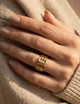 The Lattice Ring